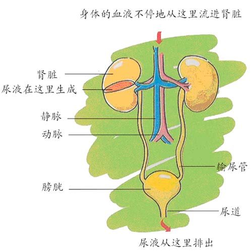 丁香实验推荐阅读