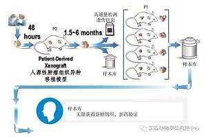 丁香实验推荐阅读
