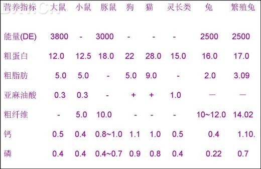 丁香实验推荐阅读