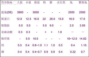 丁香实验推荐阅读
