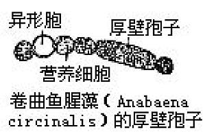 丁香实验推荐阅读