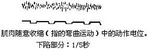 丁香实验推荐阅读