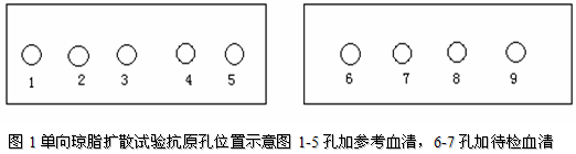 丁香实验推荐阅读