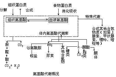 丁香实验推荐阅读