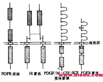 丁香实验推荐阅读