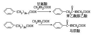 丁香实验推荐阅读