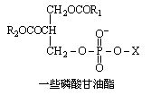 丁香实验推荐阅读