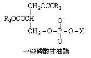 丁香实验推荐阅读