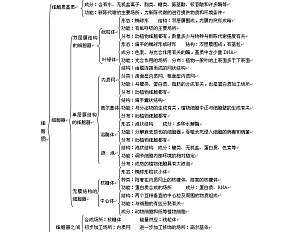丁香实验推荐阅读