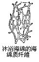 丁香实验推荐阅读