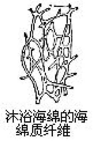 丁香实验推荐阅读