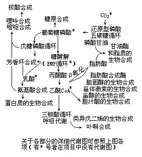 丁香实验推荐阅读