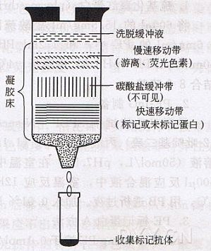 丁香实验推荐阅读