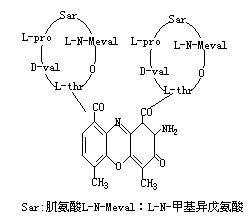 丁香实验推荐阅读