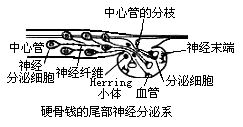 丁香实验推荐阅读