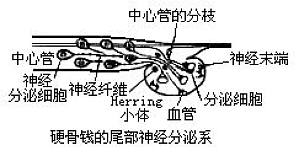 丁香实验推荐阅读