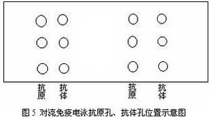 丁香实验推荐阅读