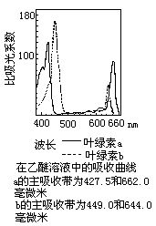 丁香实验推荐阅读