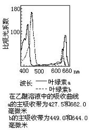 丁香实验推荐阅读