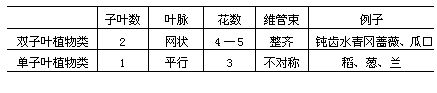 丁香实验推荐阅读