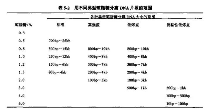 丁香实验推荐阅读