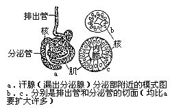 丁香实验推荐阅读