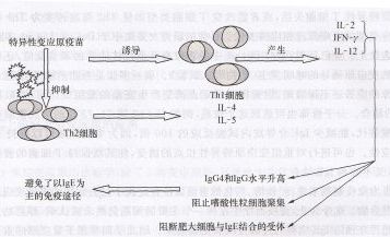 丁香实验推荐阅读