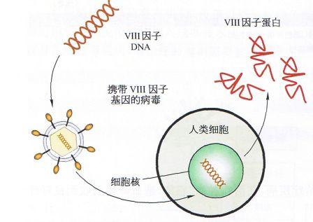 丁香实验推荐阅读