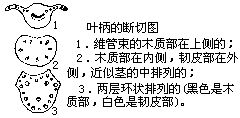 丁香实验推荐阅读