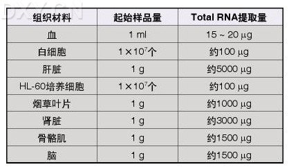 丁香实验推荐阅读