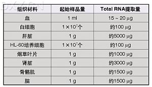 丁香实验推荐阅读