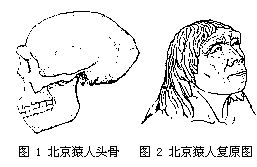 丁香实验推荐阅读