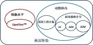 丁香实验推荐阅读