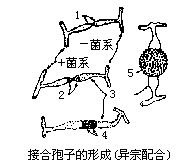 丁香实验推荐阅读