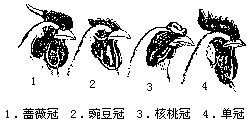 丁香实验推荐阅读