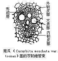 丁香实验推荐阅读