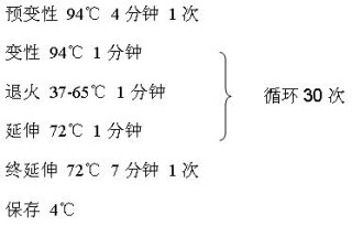 丁香实验推荐阅读