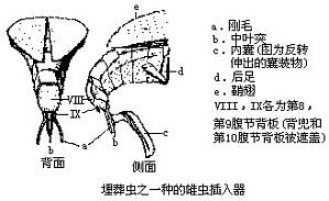 丁香实验推荐阅读