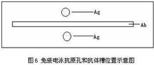 丁香实验推荐阅读