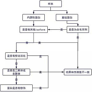 丁香实验推荐阅读