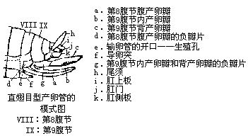 丁香实验推荐阅读