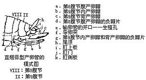 丁香实验推荐阅读
