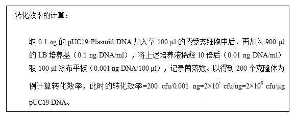 丁香实验推荐阅读