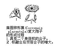 丁香实验推荐阅读