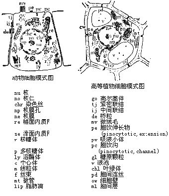 丁香实验推荐阅读