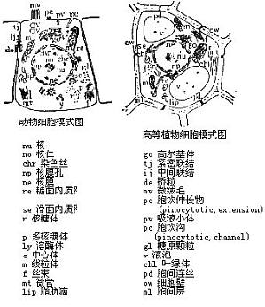 丁香实验推荐阅读