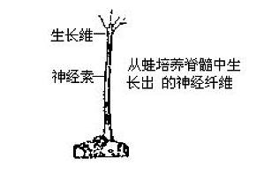 丁香实验推荐阅读