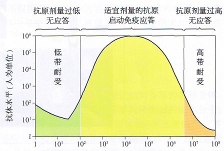 丁香实验推荐阅读