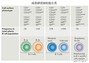丁香实验推荐阅读