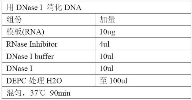 丁香实验推荐阅读